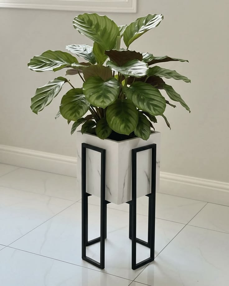 Planter